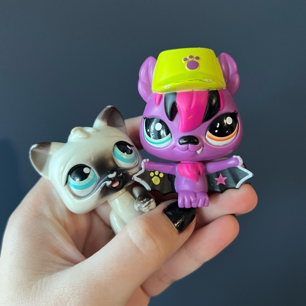 LPS bat #2719 and Siamese cat